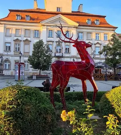 Apartament 1pp * Jelenia Góra